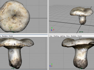 mushroom 3D Model