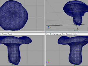 mushroom 3D Model