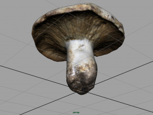 mushroom 3D Model