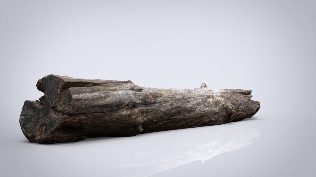dead tree trunk Modèle 3D .c4d .max .obj .3ds .fbx .stl .blend 