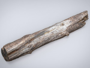 dead tree trunk Modèle 3D