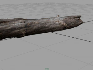 dead tree trunk 3D Model