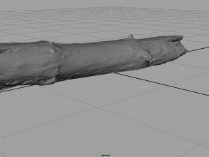 dead tree trunk Modèle 3D