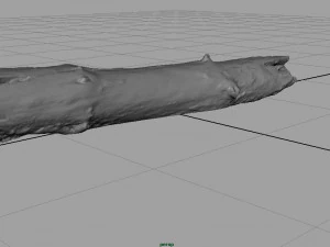 dead tree trunk 3D Model