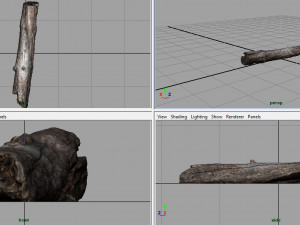 dead tree trunk Modèle 3D