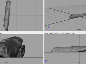 dead tree trunk Modèle 3D
