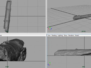 dead tree trunk 3D Model