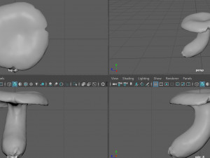 boletus Model 3D