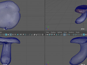 boletus Model 3D