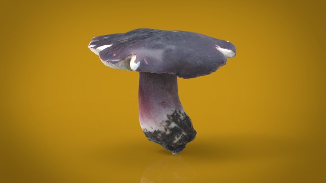mushroom russula Model 3D .c4d .max .obj .3ds .fbx .stl .blend 