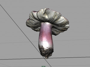 mushroom russula Model 3D