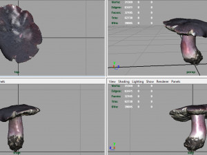 mushroom russula Model 3D