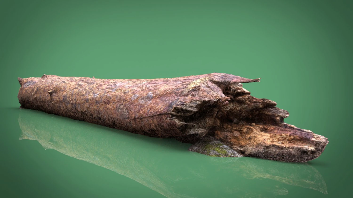 tree trunk 3D Model .c4d .max .obj .3ds .fbx .stl .blend 