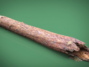 tree trunk 3Dモデル