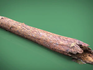 tree trunk 3D Model