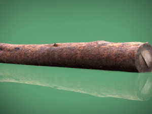 tree trunk 3Dモデル