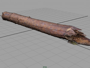 tree trunk 3Dモデル