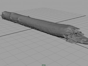 tree trunk 3Dモデル