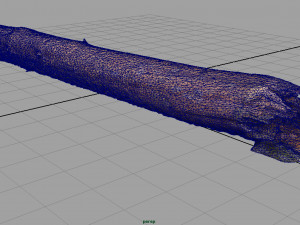 tree trunk 3Dモデル
