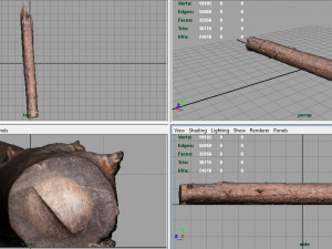tree trunk 3Dモデル
