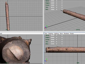 tree trunk 3D Model