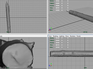 tree trunk 3Dモデル