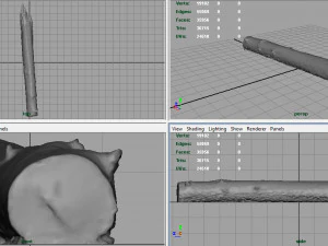 tree trunk 3D Model
