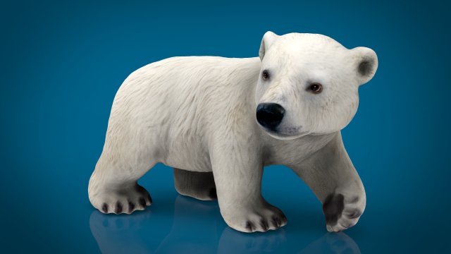 polar bear babe Modelo 3D .c4d .max .obj .3ds .fbx .stl .blend 