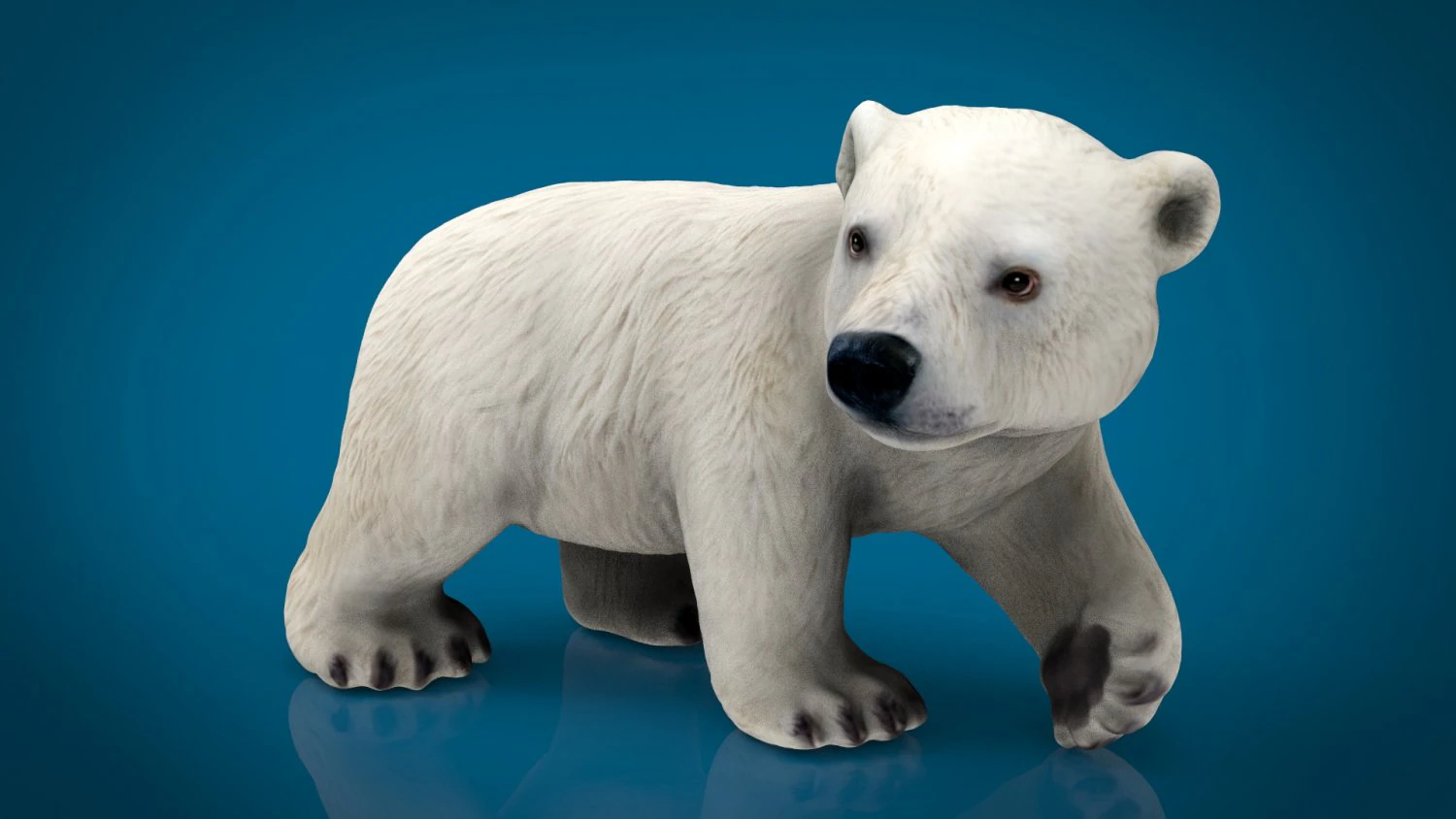 urso polar querido Modelo 3D .c4d .max .obj .3ds .fbx .stl .blend 