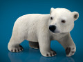 POLAR BEAR BABE 3D Model