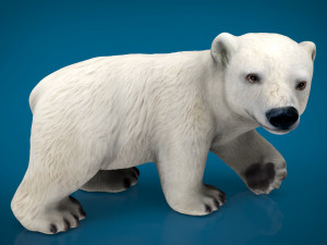 polar bear babe Modelo 3D