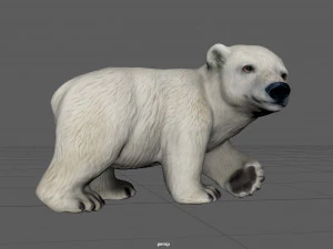 urso polar querido Modelo 3D