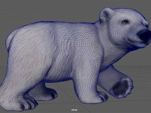 polar bear babe Modelo 3D