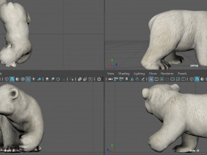polar bear babe Modelo 3D