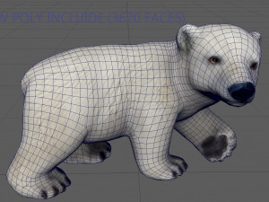 polar bear babe Modelo 3D
