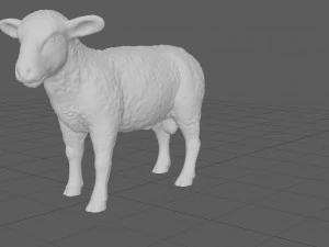 pecora Modello 3D