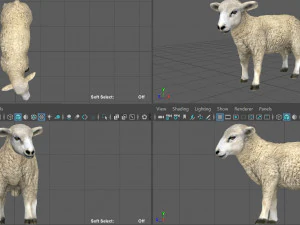 pecora Modello 3D