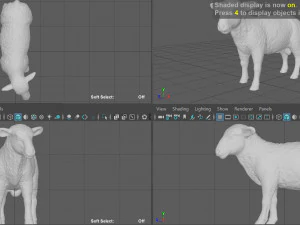 pecora Modello 3D