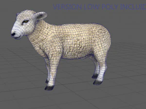 pecora Modello 3D