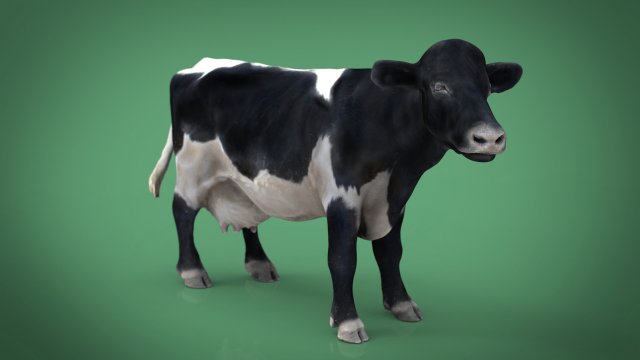 realistic cow Modelo 3D .c4d .max .obj .3ds .fbx .stl .blend 