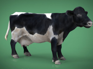 realistic cow Modelo 3D