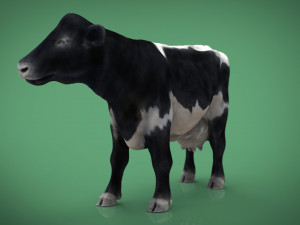 realistic cow Modelo 3D