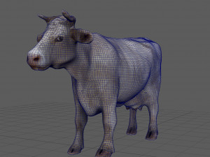 white cow 3D 模型
