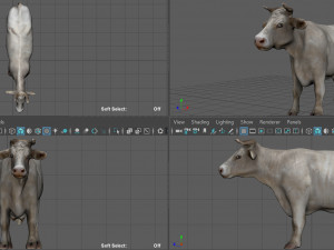 white cow 3D 模型