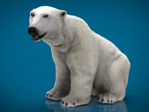 polar bear female 3D 模型