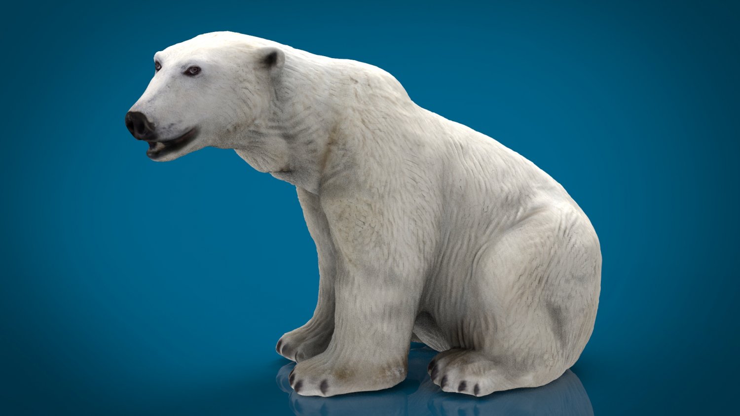 Polar Bear 3d model