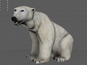 polar bear female 3D 模型