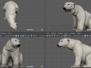 polar bear female 3D 模型