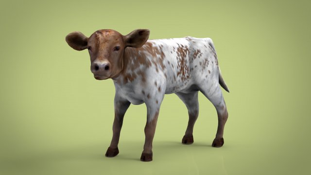calf Modèle 3D .c4d .max .obj .3ds .fbx .stl .blend 