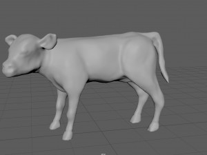 calf Modèle 3D